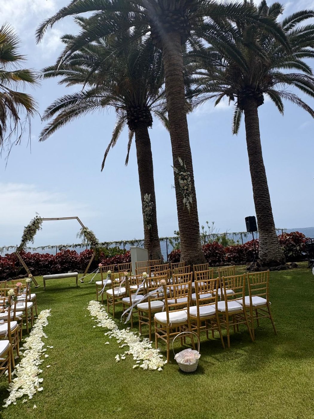 Palmeras decoradas con flores colgantes junto al arco de ceremonia