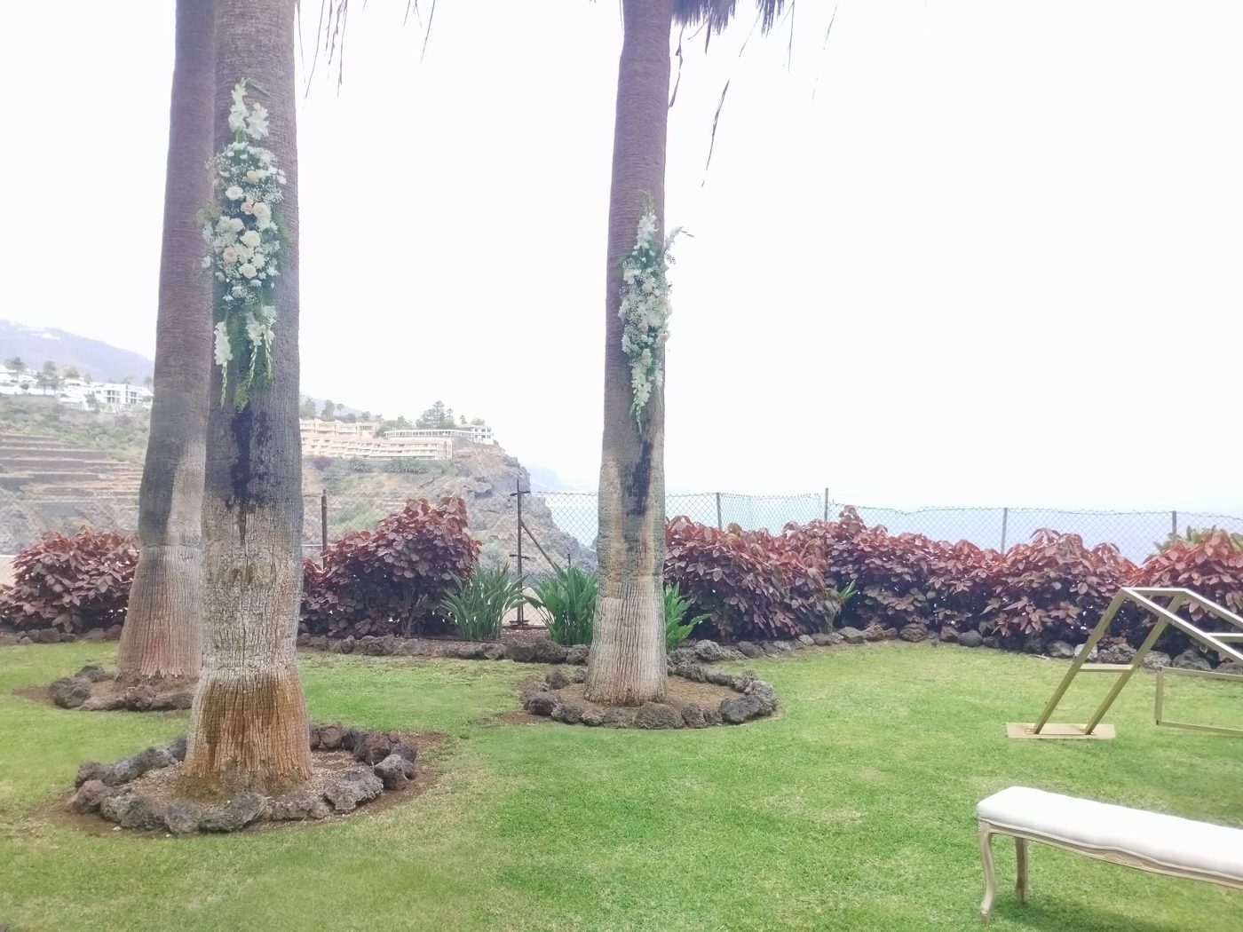 Palmeras decoradas junto a un banco de ceremonia