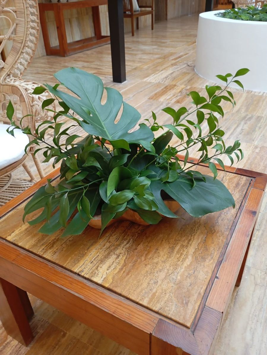 Composición de hojas de monstera y ruscus en mesa baja