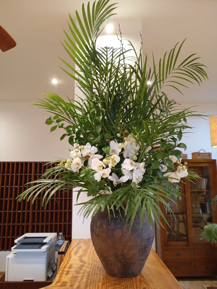 Jarrón de cerámica con orquídeas blancas y palma
